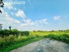 z6557690854368_618a3c06cdebf6ff0b0fdb5994b21af2.jpg